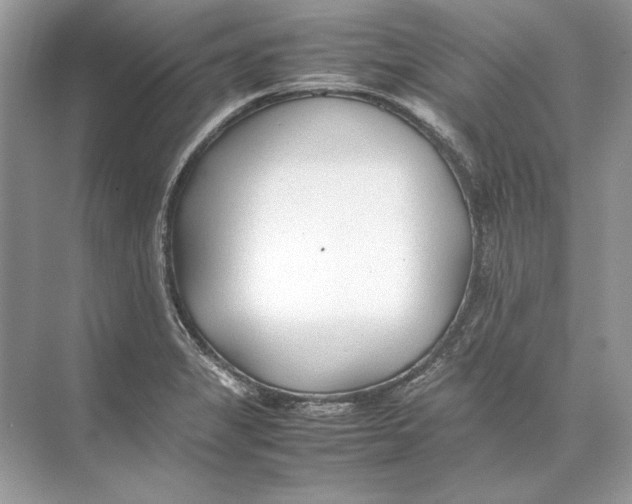 X0000074331325200609230042