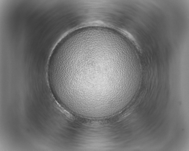 X0000074331326200609230042