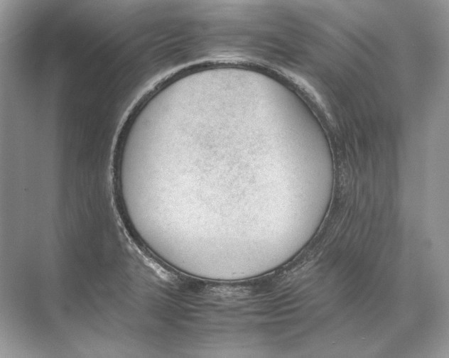 X0000074331327200609230042