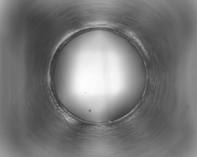 X0000074331328200609230042