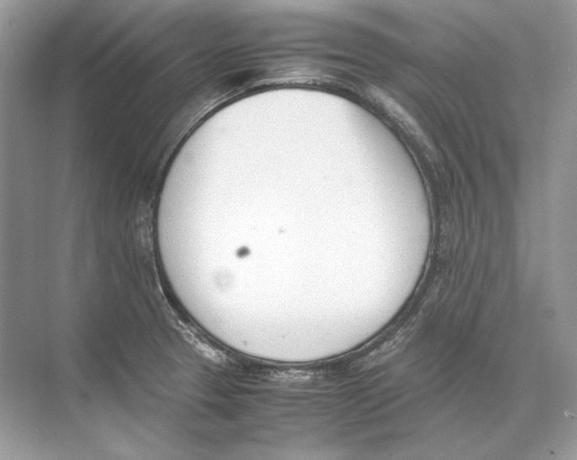 X0000074331329200609230042