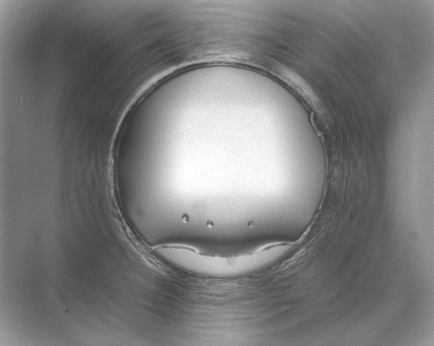 X0000074331332200609230042