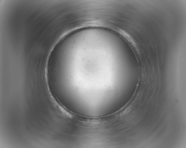 X0000074331334200609230042