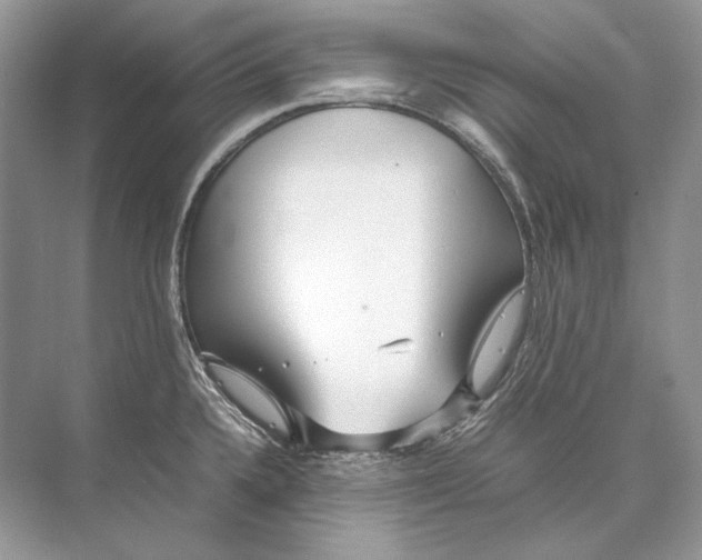 X0000074331336200609230042