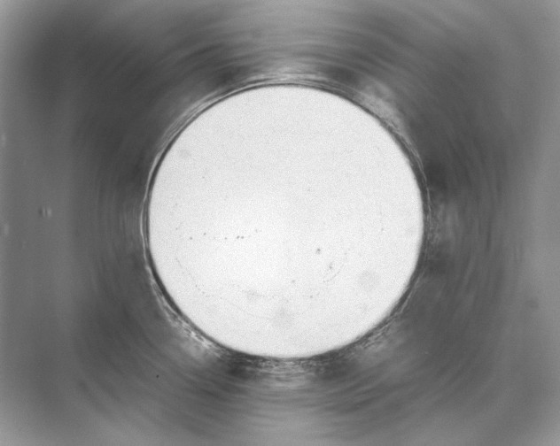 X0000074331338200609230042