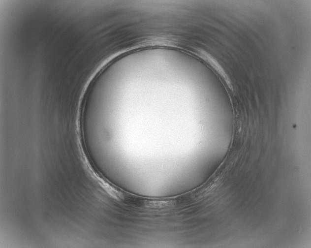 X0000074331339200609230042