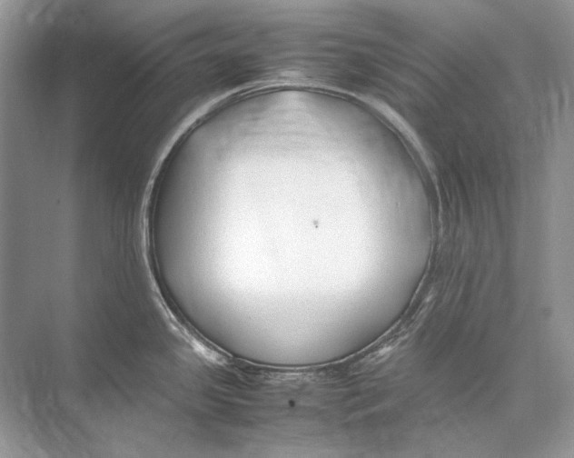 X0000074331341200609230042