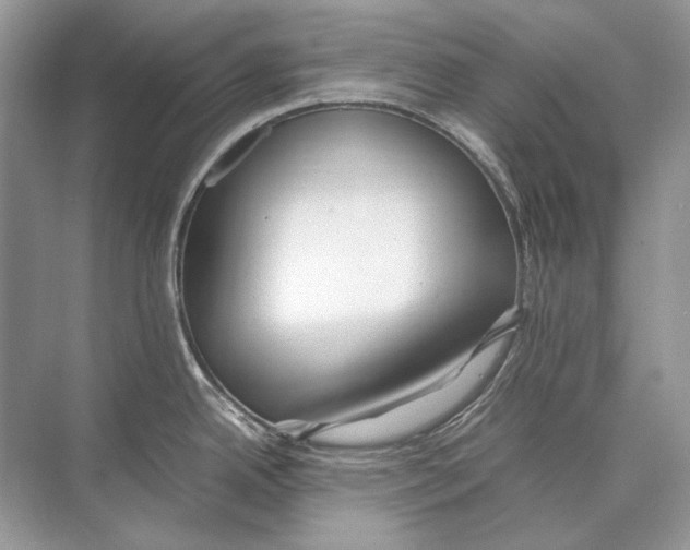 X0000074331342200609230042