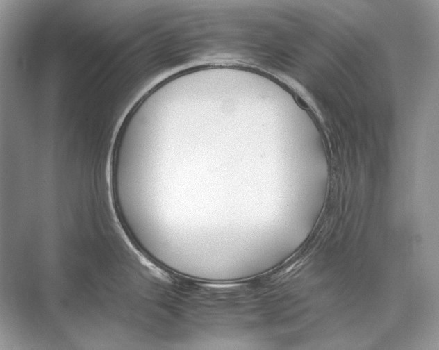 X0000074331343200609230042