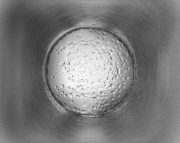 X0000074331344200609230042