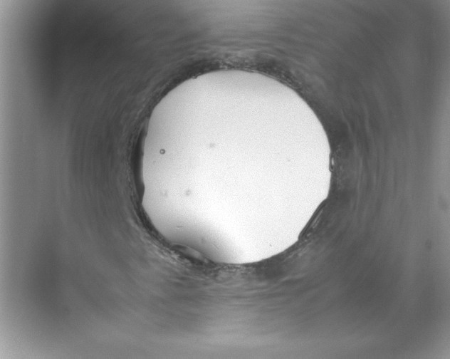 X0000074331345200609230042