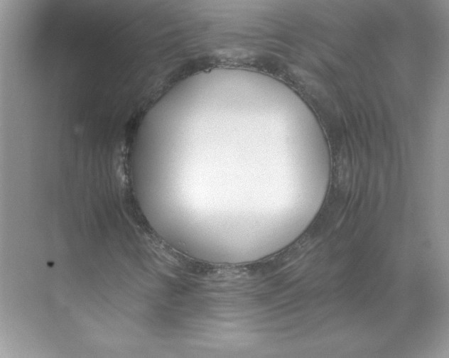 X0000074331346200609230042