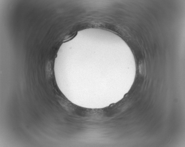 X0000074331347200609230042