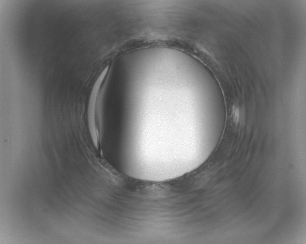 X0000074331348200609230042