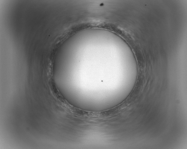 X0000074331349200609230042