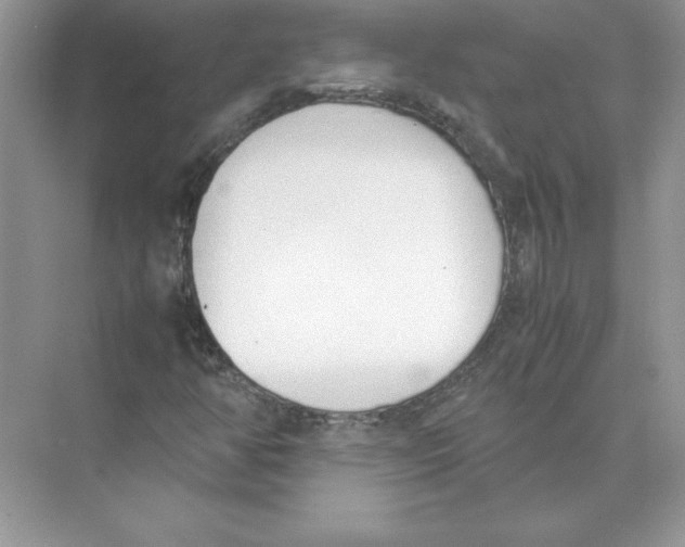 X0000074331350200609230042