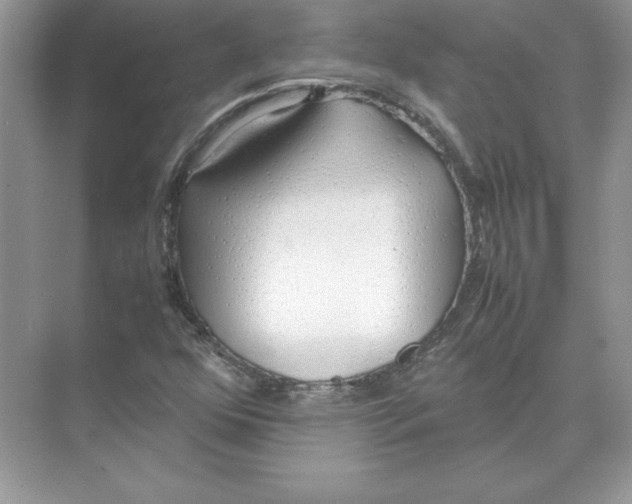 X0000074331352200609230042