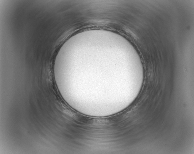 X0000074331354200609230041