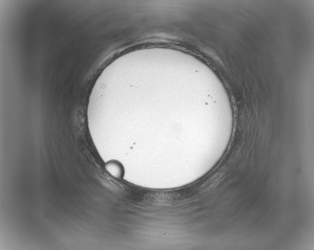 X0000074331355200609230041