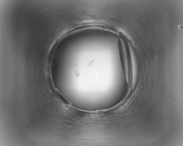 X0000074331357200609230041