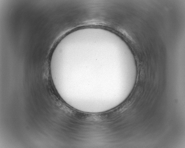 X0000074331358200609230041