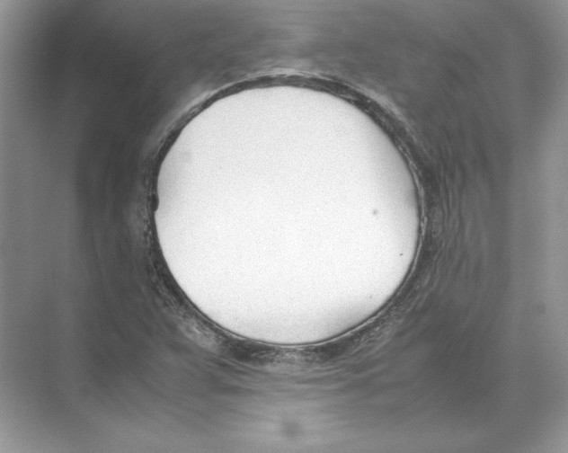 X0000074331359200609230041