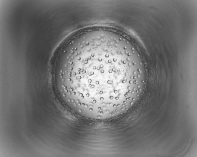 X0000074331360200609230041