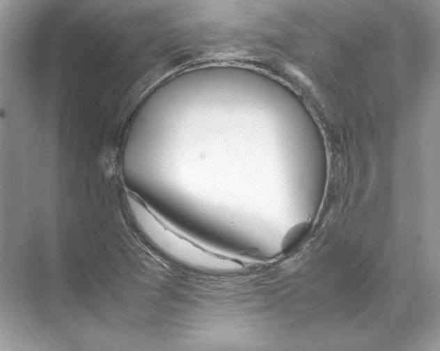 X0000074331361200609230041