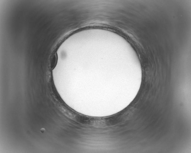 X0000074331363200609230041