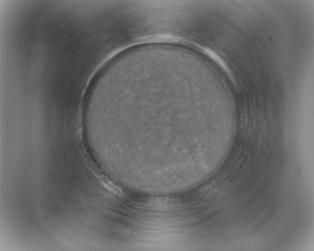 X0000074331364200609230041