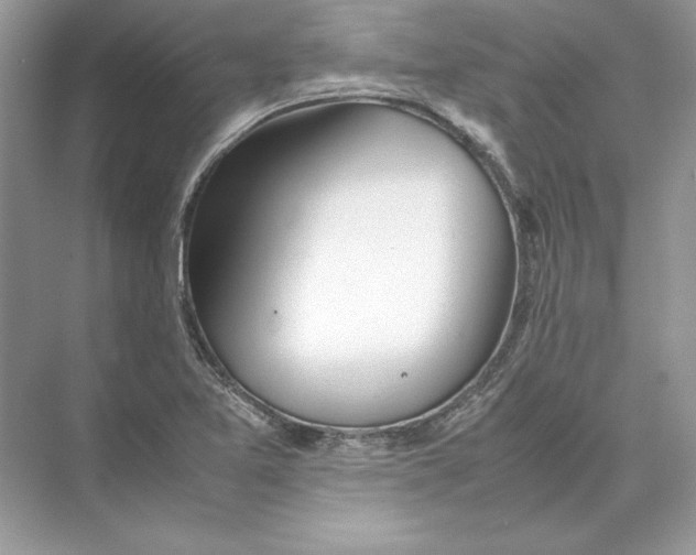 X0000074331365200609230041