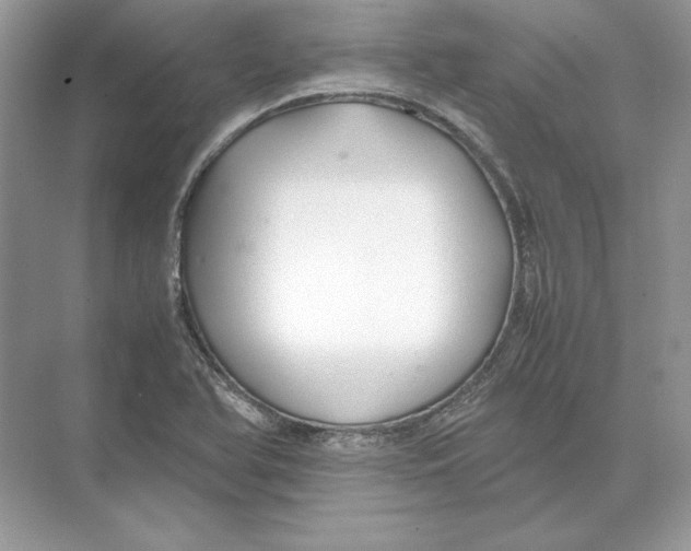 X0000074331366200609230041