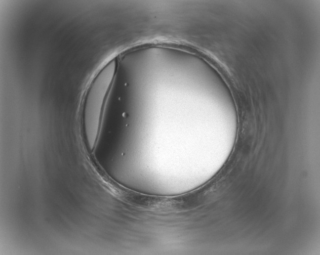 X0000074331367200609230041