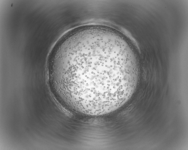 X0000074331368200609230041