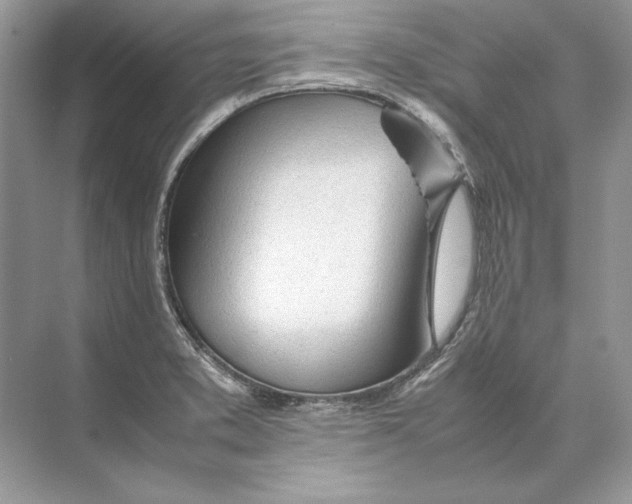 X0000074331373200609230041