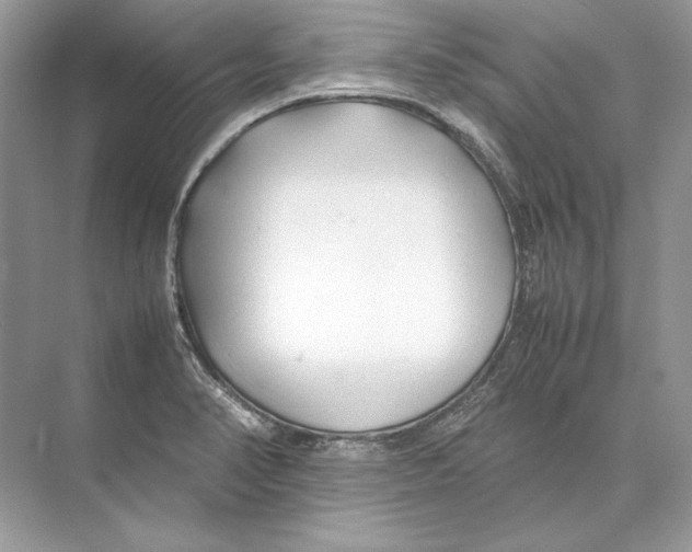 X0000074331374200609230041