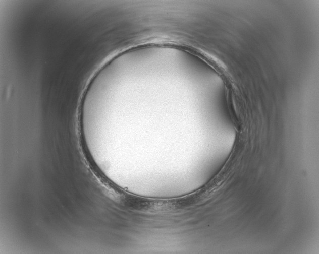 X0000074331375200609230041