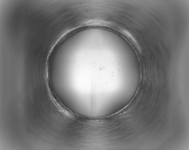 X0000074331376200609230041