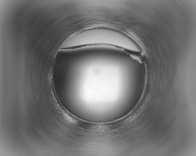 X0000074331377200609230041