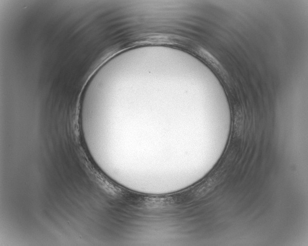 X0000074331378200609230041