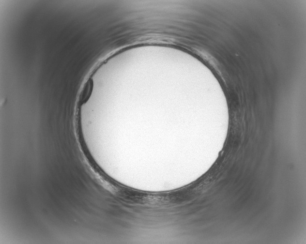 X0000074331379200609230041