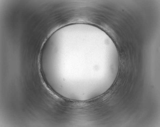 X0000074331382200609230041