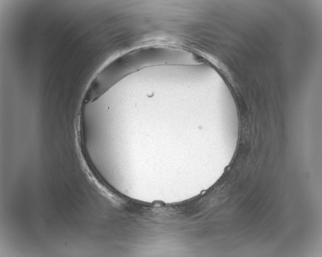 X0000074331383200609230041