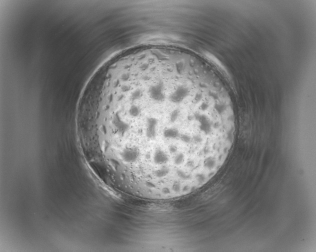 X0000074331384200609230041