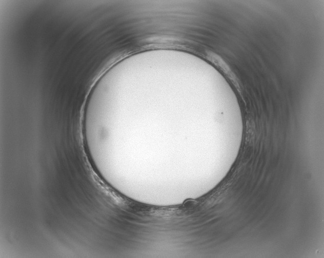 X0000074331386200609230041