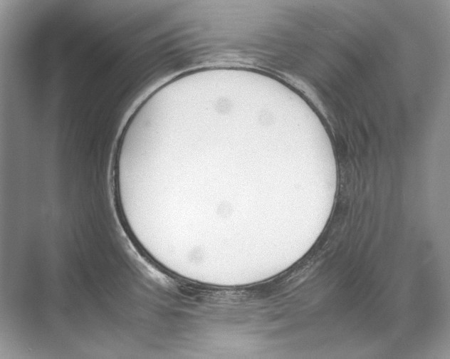 X0000074331387200609230041