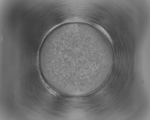 X0000074331388200609230041