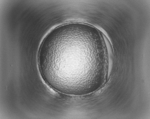 X0000074331389200609230041