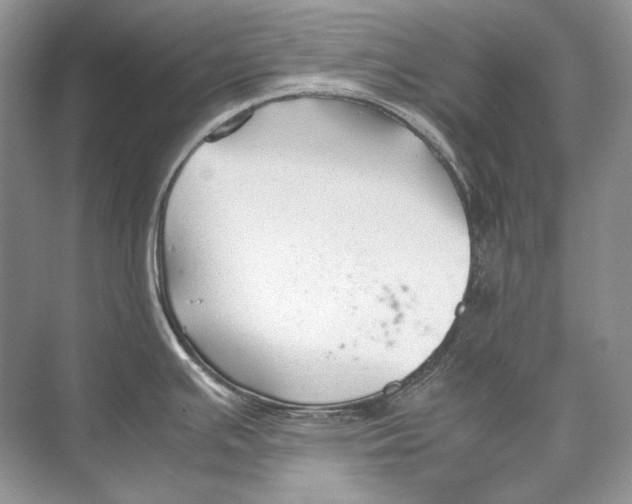 X0000074331391200609230041