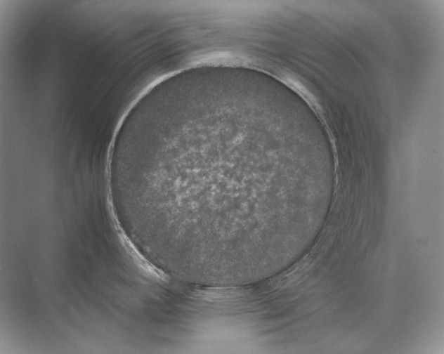 X0000074331392200609230041